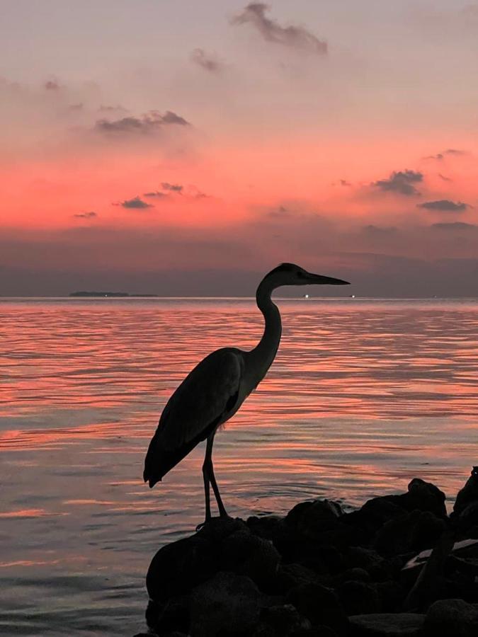 Bed and Breakfast Raalhu Dhangethi Zewnętrze zdjęcie